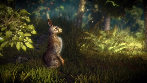 The Witcher 2 - Rabbit